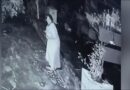 Λεοπάρδαλη επιτίθεται σε μια γυναίκα – Βίντεο